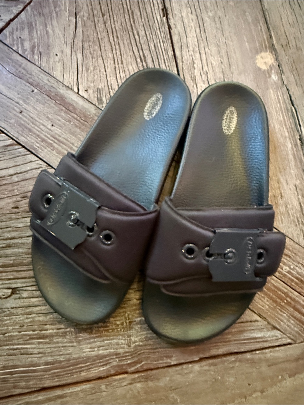 Dr. Schollβs Slide Sandals with Buckle